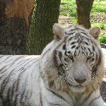 Santa Melona Restaurante